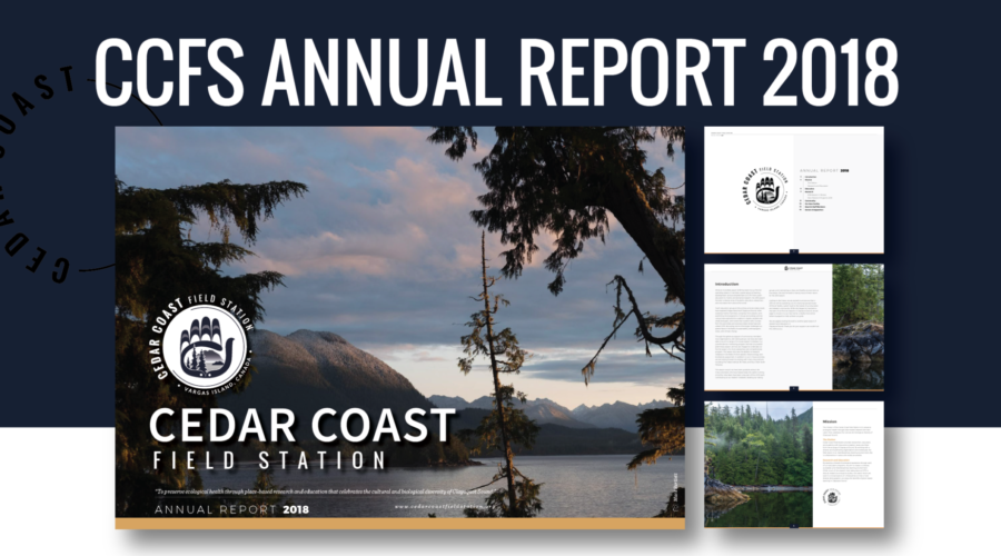 CCFS Annual Report 2018