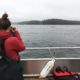 Observing the Gentle Giants of Clayoquot Sound