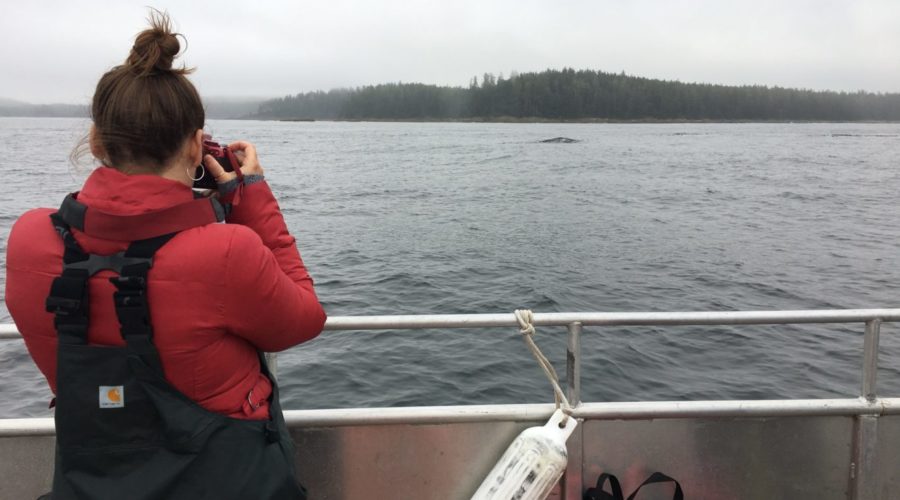 Observing the Gentle Giants of Clayoquot Sound