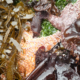 Fish Without Fins: Sea star monitoring